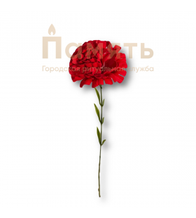 Ветка - Гвоздика Ветка - Гвоздика