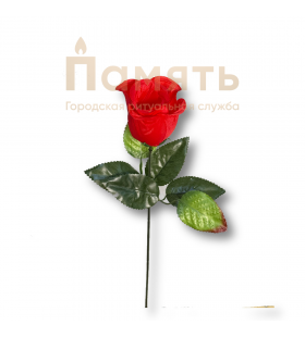 Ветка - Роза Ветка - Роза