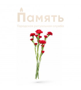 Ветка гвоздики кустовая 5 веток - 60 см