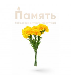 Букет Гвоздик - желтые