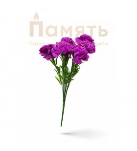 Букет Гвоздик - сиреневые