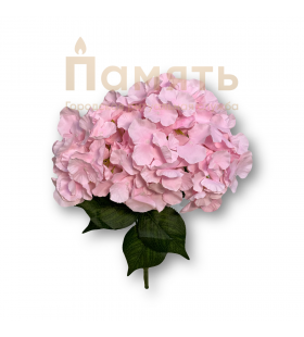 Букет Гортензия – №1 Букет Гортензия – №1
