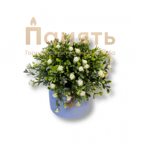 Кашпо Эвкалипт с белыми цветами