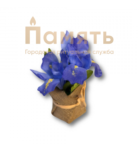 Кашпо-мини Ксифиум – синие